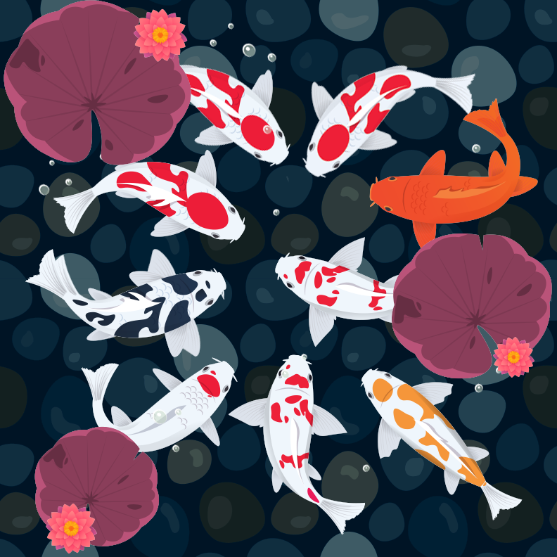 Koi Pond