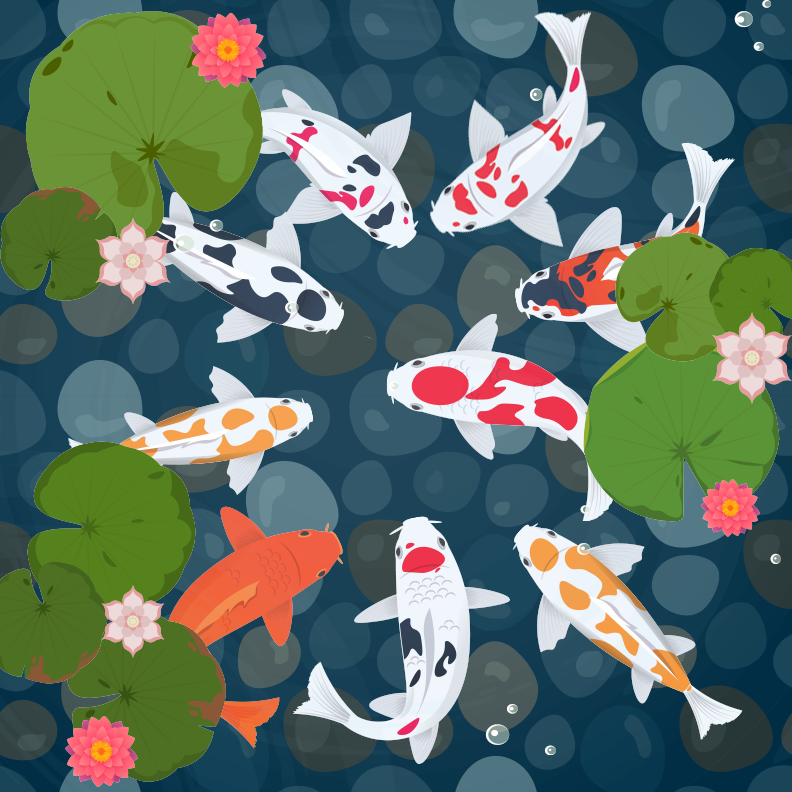 Koi Pond